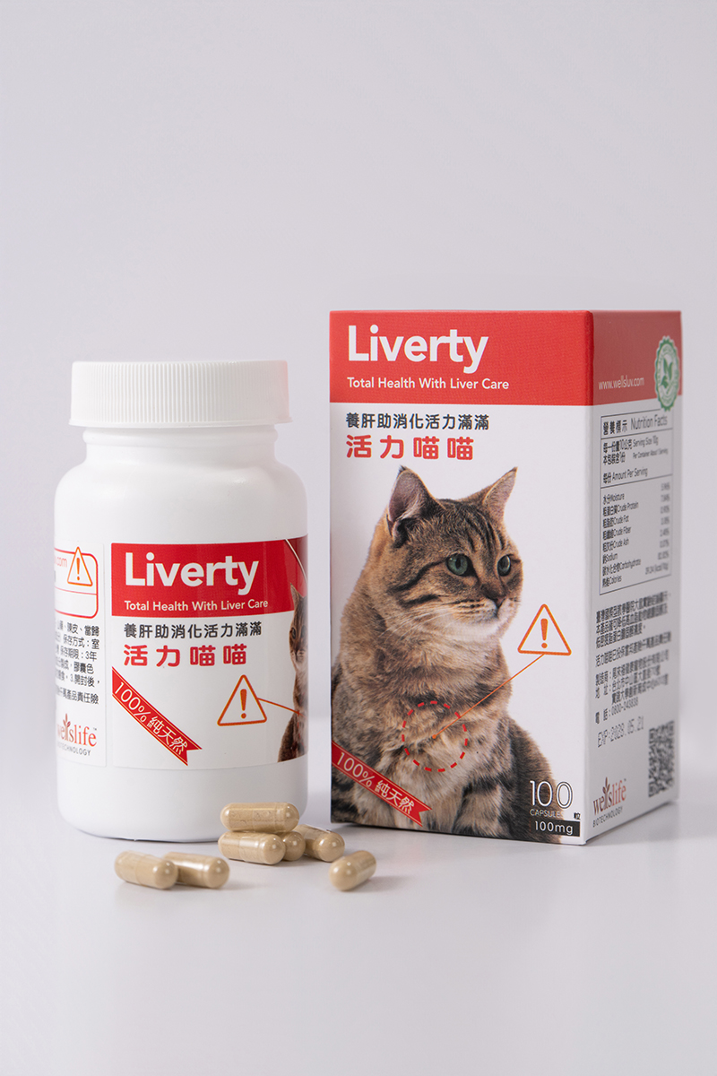 活力喵喵